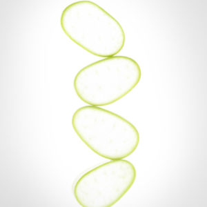 Physiotherm Aloe Vera